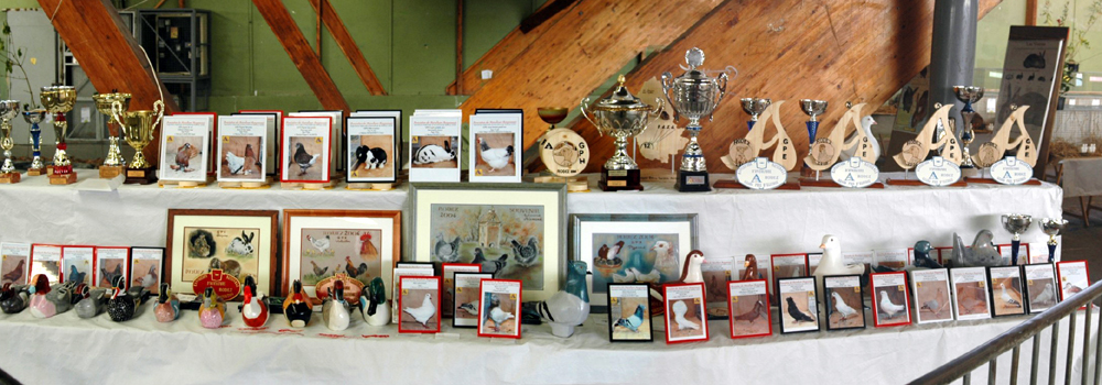 Les animaux prims sont photographis sur place  ! Les statues sont en argile, moules, sculptes et peintes  la main !